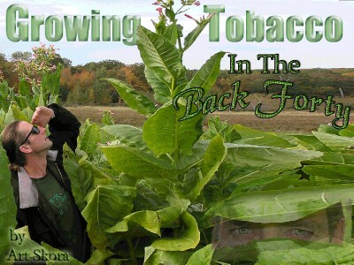 Home Grown Tobacco